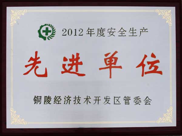 2012年度“安全生产先进单位”